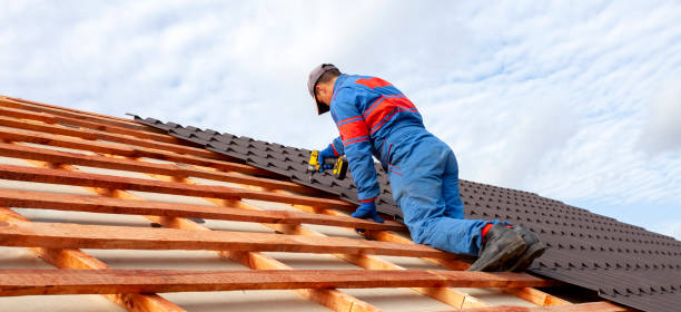 Roof Maintenance